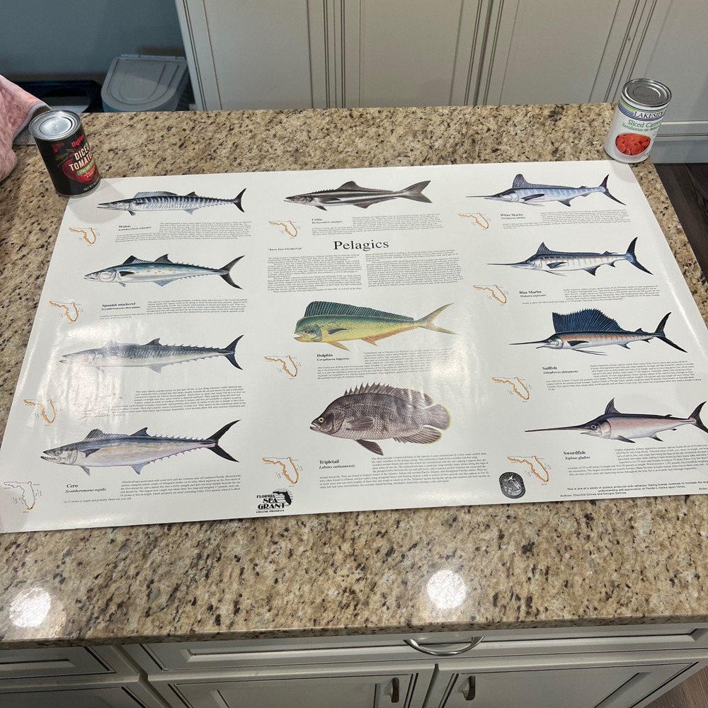 Florida Sea Grant Pelagics Fish Identification Poster John Costin Marine Art